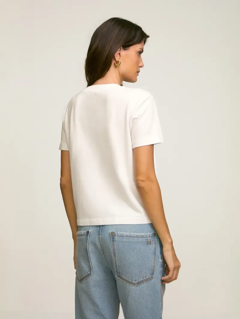 11050-5.webp